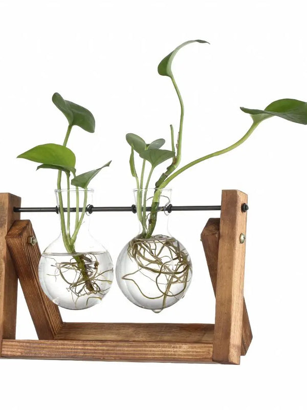Hydroponic Plant Vases Glass Vase Vintage Bonsai Flower Pot Terrarium Tabletop Tray Wooden Frame Home Decor