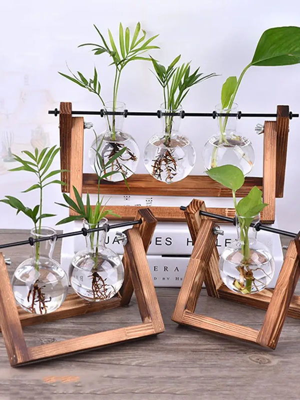 Vintage Hydroponic Plant Vases Glass Vase Vintage Bonsai Flower Pot Terrarium Tabletop Tray Wooden Frame Home Decoration