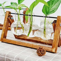 Glass Hydroponic Vase with Wooden Stand Creative Simple Desktop Green Plant Cultivation Container Home Decoration Ornament