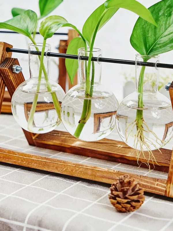 Glass Hydroponic Vase with Wooden Stand Creative Simple Desktop Green Plant Cultivation Container Home Decoration Ornament
