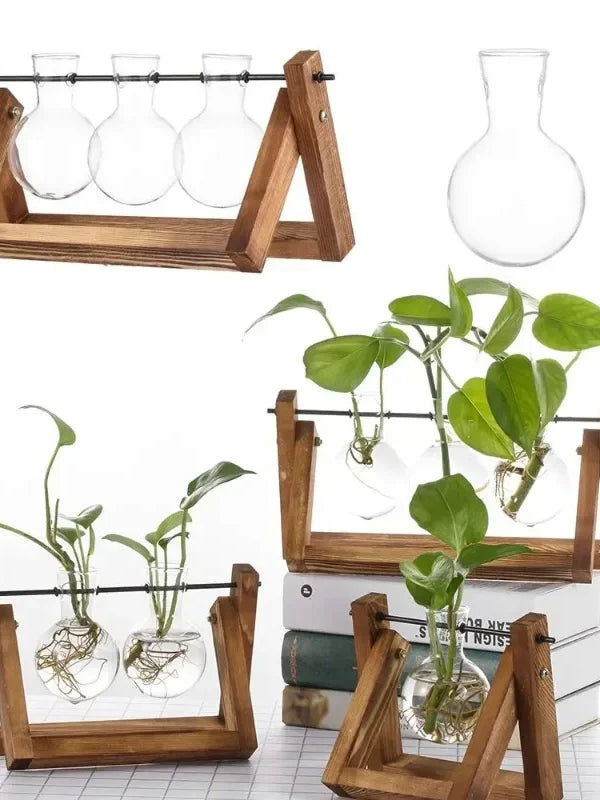 Hydroponic Plant Vases Glass Vase Vintage Bonsai Flower Pot Terrarium Tabletop Tray Wooden Frame Home Decor