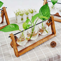 Glass Hydroponic Vase with Wooden Stand Creative Simple Desktop Green Plant Cultivation Container Home Decoration Ornament