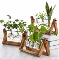Glass Hydroponic Vase with Wooden Stand Creative Simple Desktop Green Plant Cultivation Container Home Decoration Ornament
