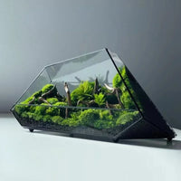 Glass Vase Micro Landscape Planter Rainforest Tank Moss Eco Vase Home Decoration Geometric Glass Flower Room Hydroponic Vase
