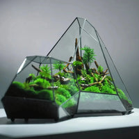 Glass Vase Micro Landscape Planter Rainforest Tank Moss Eco Vase Home Decoration Geometric Glass Flower Room Hydroponic Vase