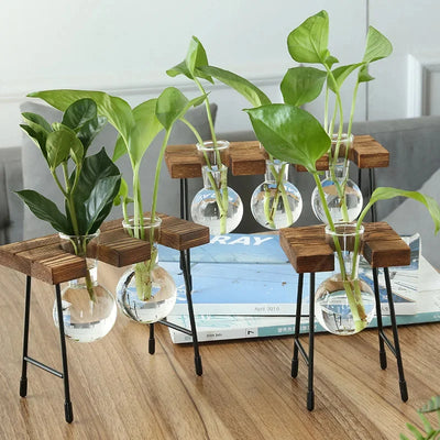 Terrarium Hydroponic Plant Vases with Wooden Stand Indoor Vintage Plant Flower Pot for Home Office Tabletop Desktop Decor
