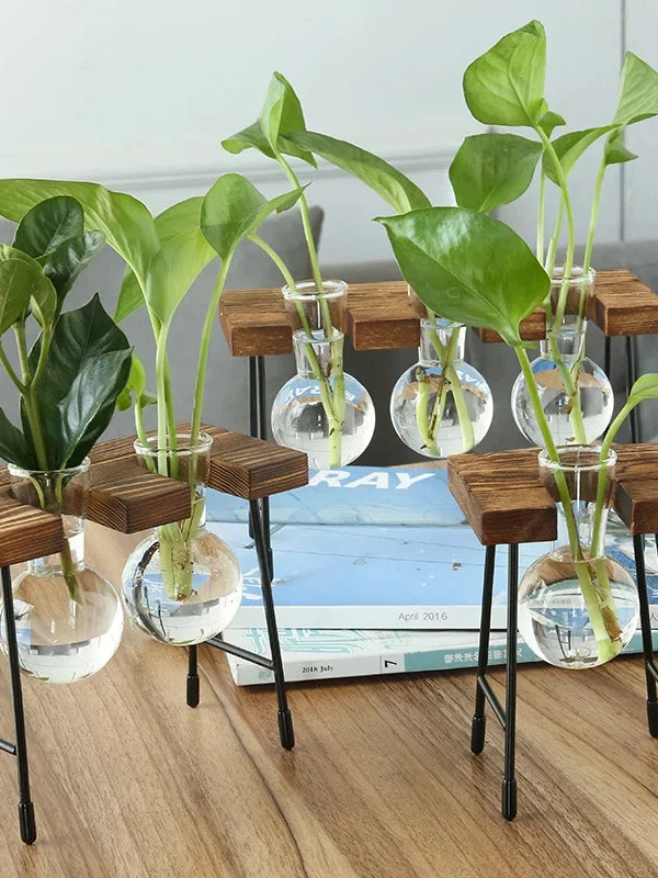 Terrarium Hydroponic Plant Vases with Wooden Stand Indoor Vintage Plant Flower Pot for Home Office Tabletop Desktop Decor