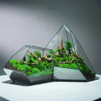 Glass Vase Micro Landscape Planter Rainforest Tank Moss Eco Vase Home Decoration Geometric Glass Flower Room Hydroponic Vase